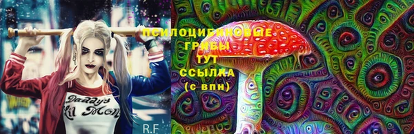 прущие грибы Протвино