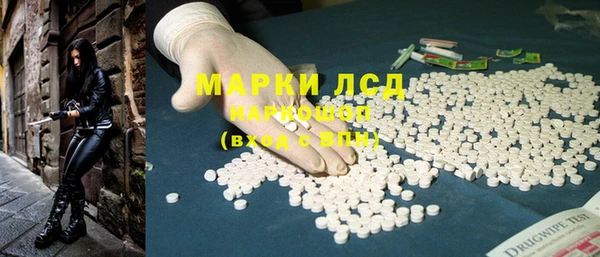 прущие грибы Протвино