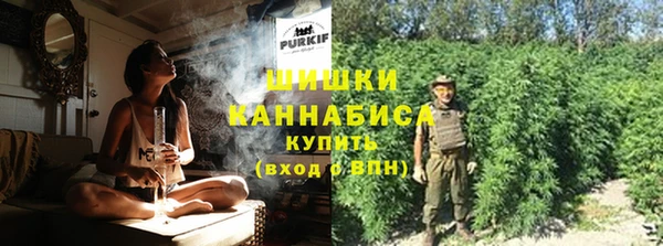 прущие грибы Протвино