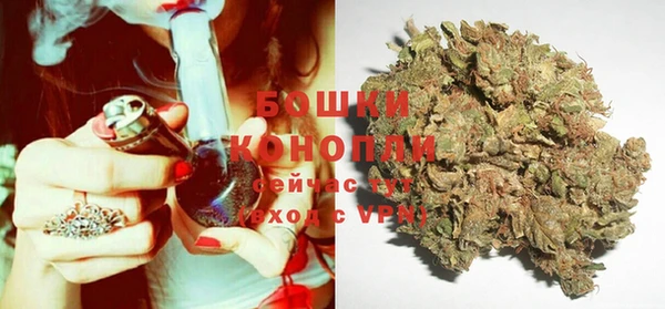 прущие грибы Протвино