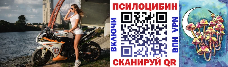 площадка клад  Суворов  Галлюциногенные грибы Psilocybine cubensis 